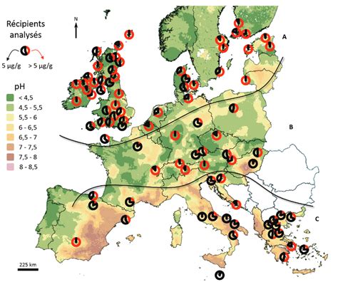 scale - QGIS : How to make pie charts that depict quantity on certain coordinates/site ...