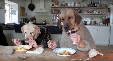 Dogs Eating With Human Hands | POPSUGAR Pets