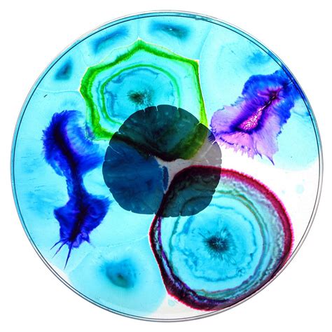 Petri Dish art | Petri dish, Resin painting, Glass bead game