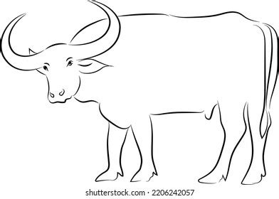 9,231 Buffalo Sketch Images, Stock Photos & Vectors | Shutterstock