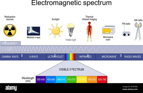 Electromagnetic spectrum. different types of electromagnetic radiation, includes radio waves ...