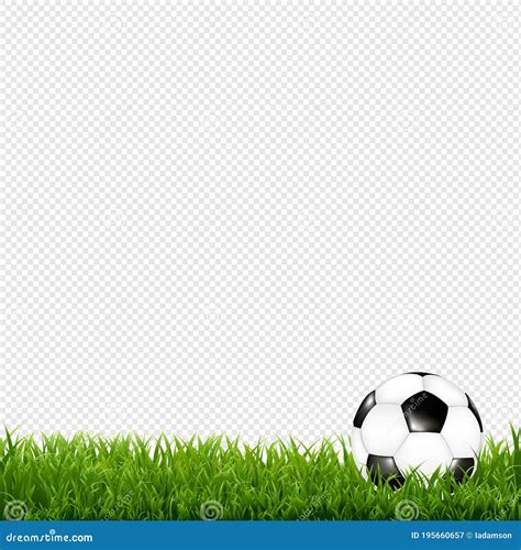 Soccer Ball With Grass Border Transparent Background Cartoon Vector | CartoonDealer.com #195660657