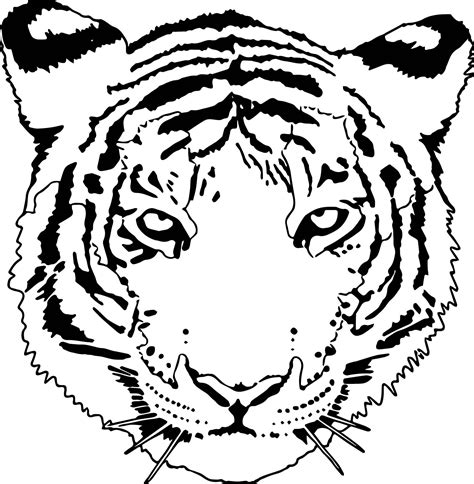 Tiger Face Coloring Pages – Idalias Salon