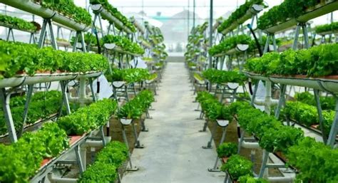 The Best Methods for Sustainable Farming