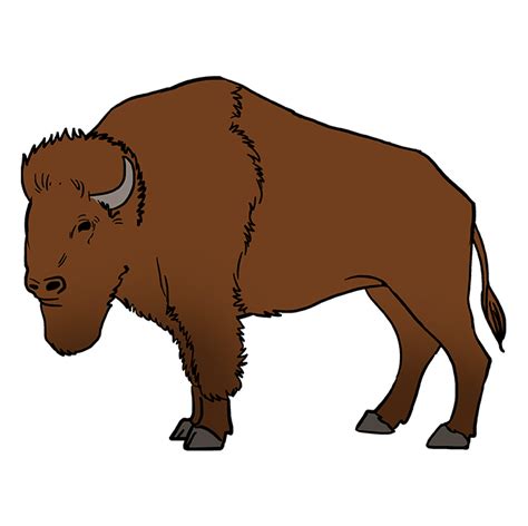 How to Draw a Buffalo - Really Easy Drawing Tutorial