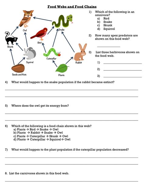 Food Chain Worksheet Pdf – Imsyaf.com