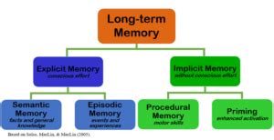 15 Semantic Memory Examples (2024)