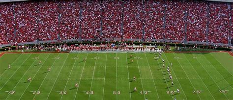 Georgia Bulldogs Football Tickets 2024 | Vivid Seats