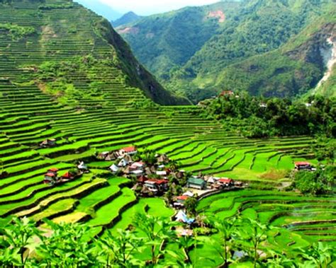 Banaue Rice Terraces - Ideas To Chill