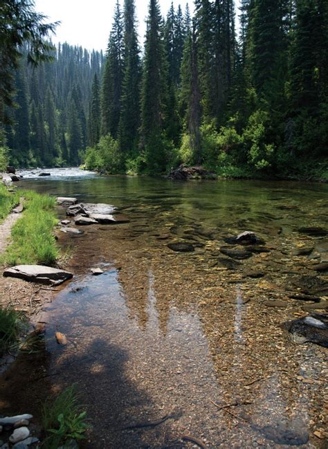 Ode to the St. Joe River - Big Sky Journal