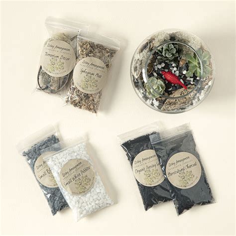 DIY Succulent Terrarium Kit | Terrarium Kit | Uncommon Goods