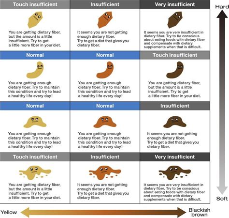 know your health by your poops - Google Search Stool Color Chart, Stool Chart, Mucus Color ...