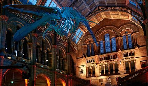 Natural History Museum virtual tour | Leisure | Yours