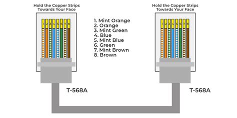 RJ45 Connector Guide: Types, Color Code, Crimping More