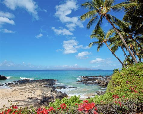 Tropical Beach Hawaii Photograph by Mike Swiet - Fine Art America