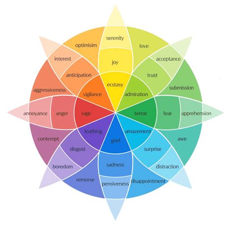 The Emotion Wheel: Primary Emotions, Benefits & How To Use It!