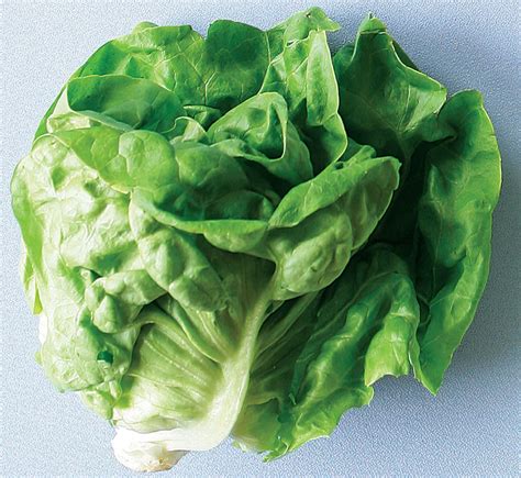 Lettuce - Types, Nutrition Facts, Calories, Carbs - Health Benefits