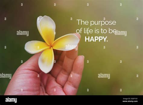 Motivational and Inspirational Quotes - The purpose of life is to be happy Stock Photo - Alamy