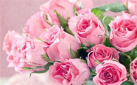 Pink Flowers Wallpapers - Wallpaper Cave