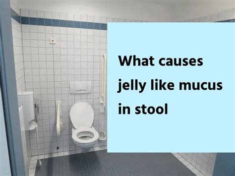 What Causes Jelly-like Mucus in the Stool? - Health Advisor