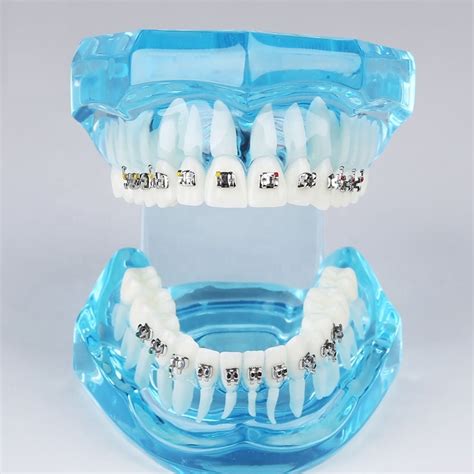 China Dental Air Compressor Specifications Manufacturers and Factory, Suppliers | Onice