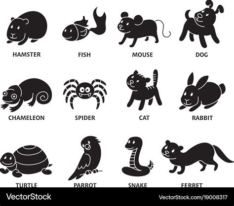 Pet shop set silhouette types of pets Royalty Free Vector