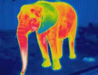 Infrared Waves - Electromagnetic Spectrum