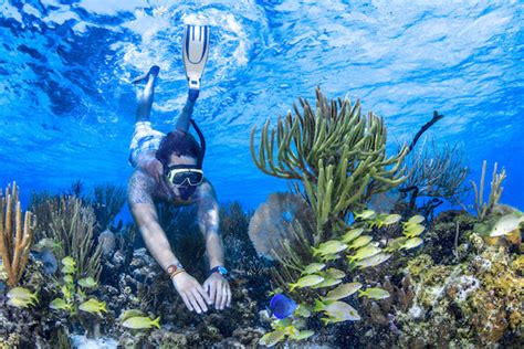 The Best Snorkeling On Isla Mujeres