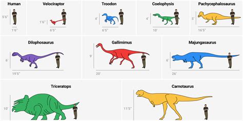 Dinosaur size comparison chart - Business Insider