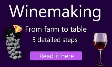 5 steps Detailed Guide for Wine making for every one, and the history