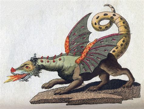 European dragon - Wikipedia