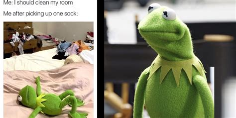 Kermit The Frog Meme