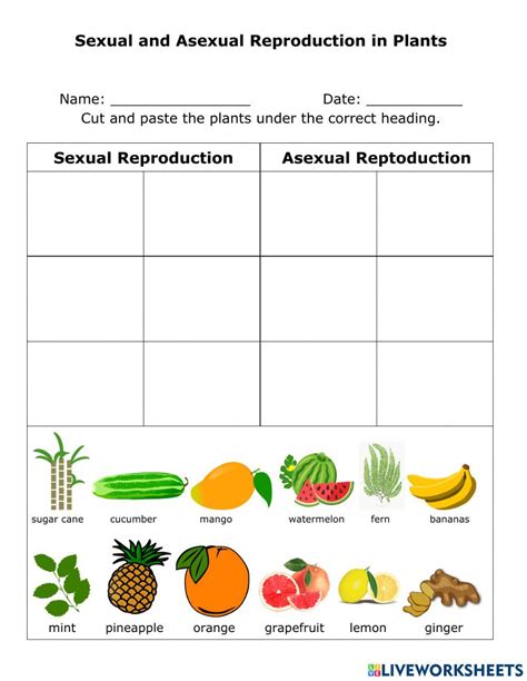 Free sexual reproduction worksheet, Download Free sexual reproduction worksheet png images, Free ...