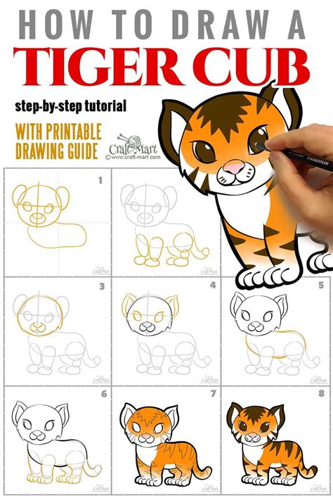 How to create a nice drawing of a tiger for beginners – Artofit