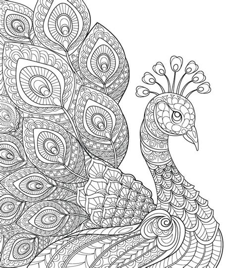 Lovely Peacock Illustration Mural - Murals Your Way | Peacock coloring pages, Mandala coloring ...