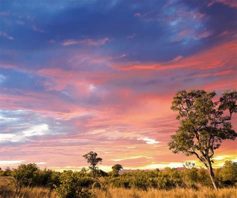 3 DAY KRUGER NATIONAL PARK - African Spirit Safaris