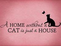 270 Best Cat Lover: Quotes & Sayings ideas | cat lovers, crazy cats, cat quotes