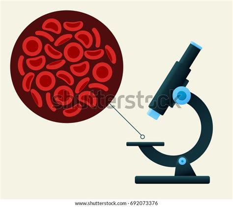 15 Magnifying Glass View Red Blood Cells Images, Stock Photos, 3D objects, & Vectors | Shutterstock