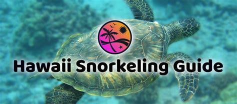 Sharks Cove Snorkeling Secrets! The Complete Guide to Oahu Snorkeling!