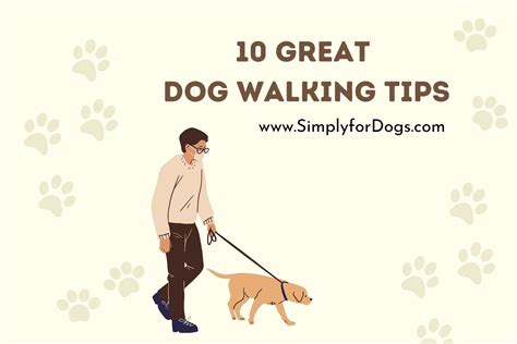 10 Great Dog Walking Tips (Ultimate Guide) - Simply For Dogs