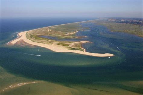 Where to see the seals in Norfolk UK | Visit Norfolk