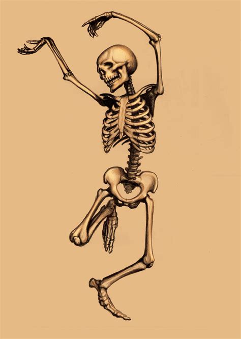 Dancing Skeleton by rasha on DeviantArt