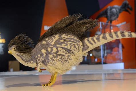 4 feathered dinosaurs you didn’t know existed | New York Post