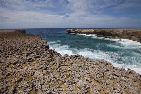 Bonaire National Park Photograph by Vanessa D - - Pixels