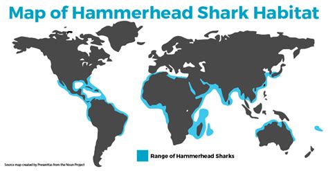 Discover The Great White Shark Habitat Map | SEEtheWILD