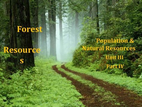 Forest Resources