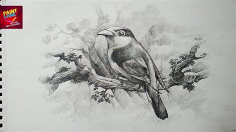 Pencil Shading Drawing Animals - bestpencildrawing