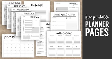 Monthly Planner Template {Printable Planner Pages} - Paper Trail Design