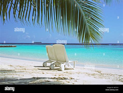 Tropical beach scene Maldives Stock Photo - Alamy