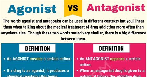 Agonist vs. Antagonist: Difference between Antagonist vs. Agonist • 7ESL